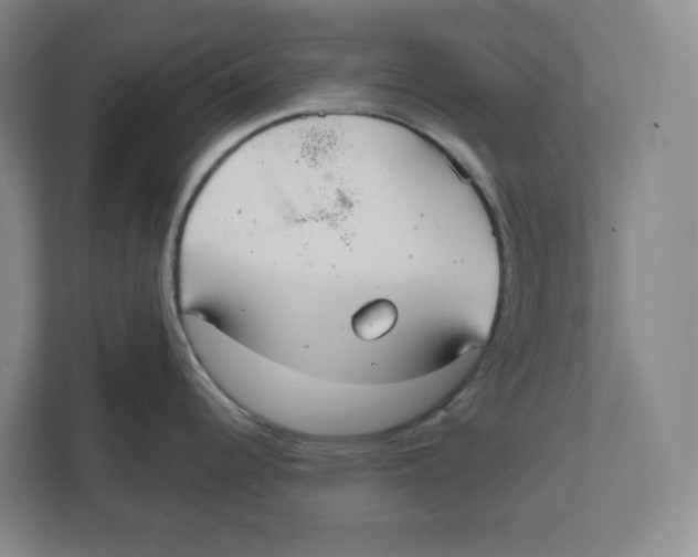 X0000111821344200908201123