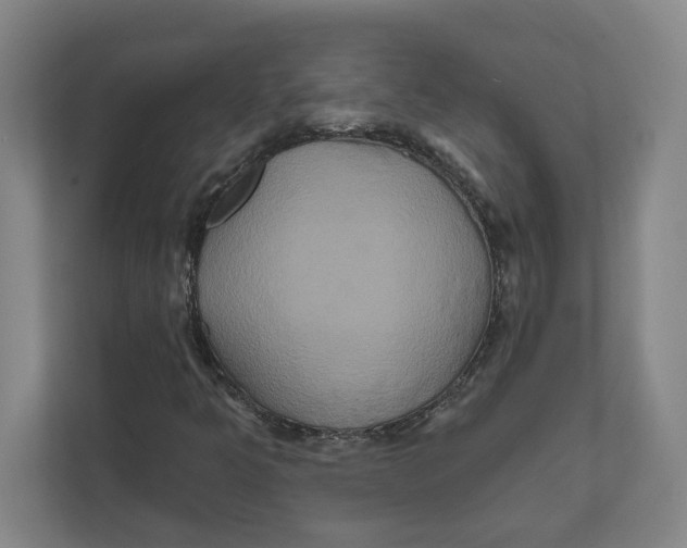 X0000111821349200908201122