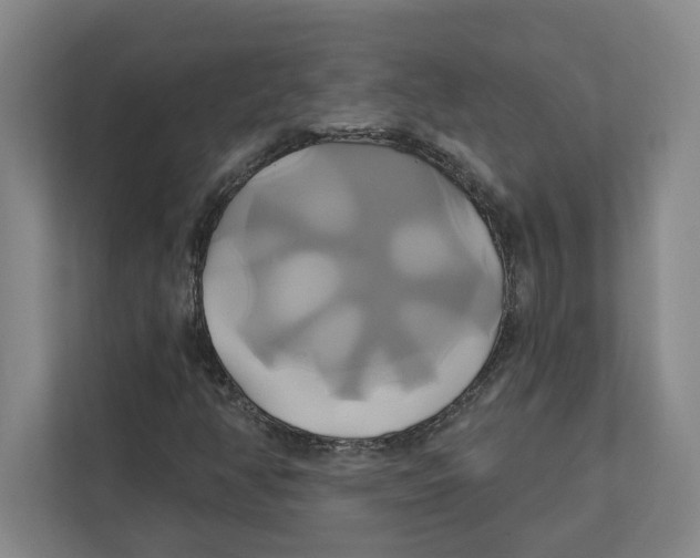 X0000111821350200908201122