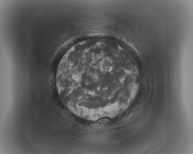 X0000111821351200908201122