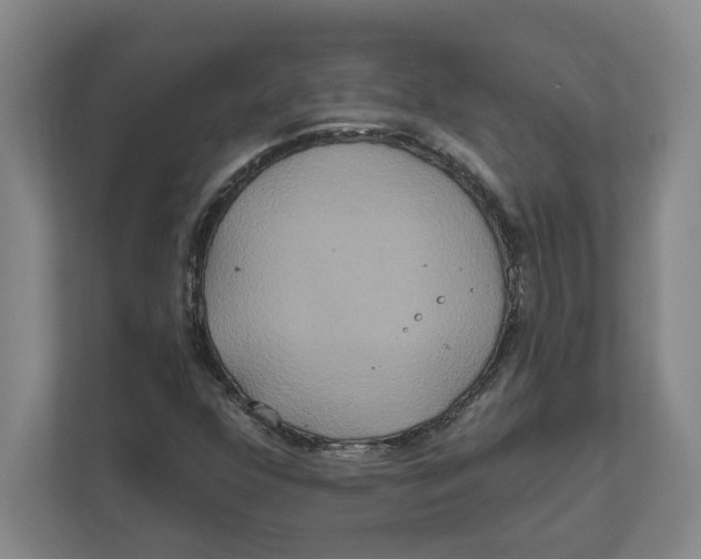 X0000111821352200908201122