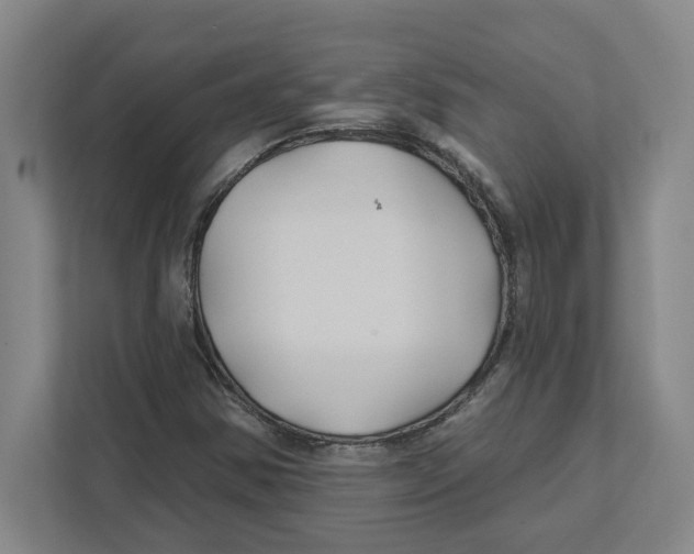 X0000111821354200908201122