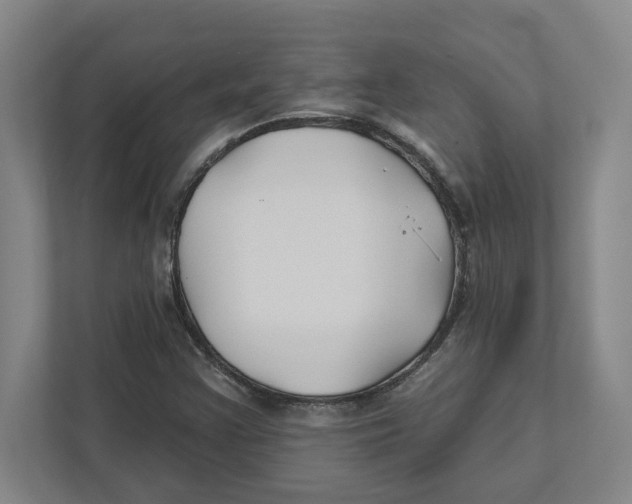 X0000111821355200908201122