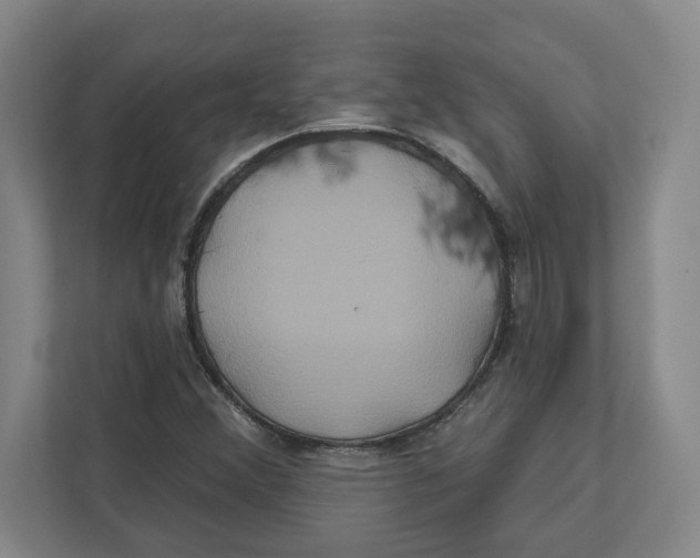 X0000111821356200908201122