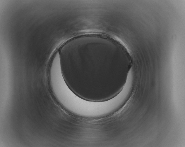 X0000111821357200908201122