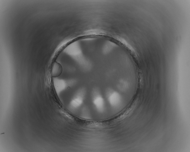 X0000111821358200908201122