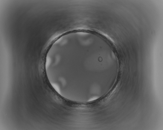 X0000111821359200908201122