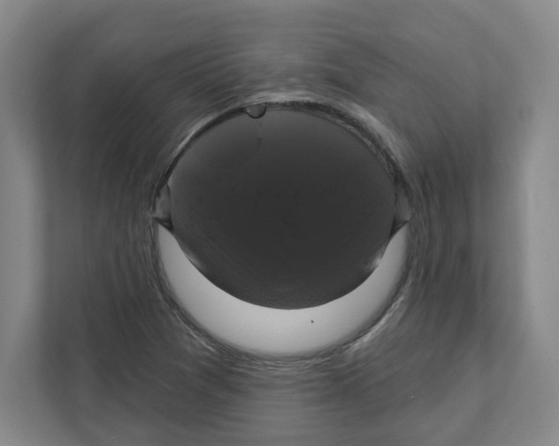 X0000111821361200908201122