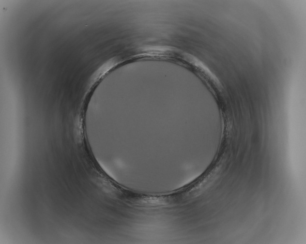 X0000111821362200908201122