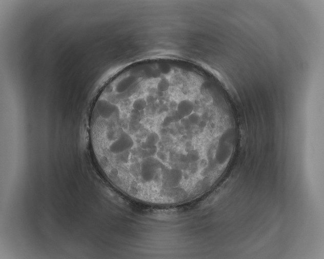 X0000111821363200908201122