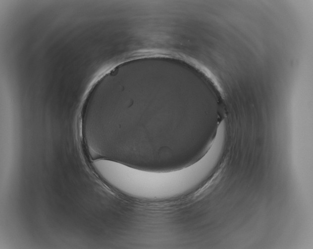 X0000111821365200908201122