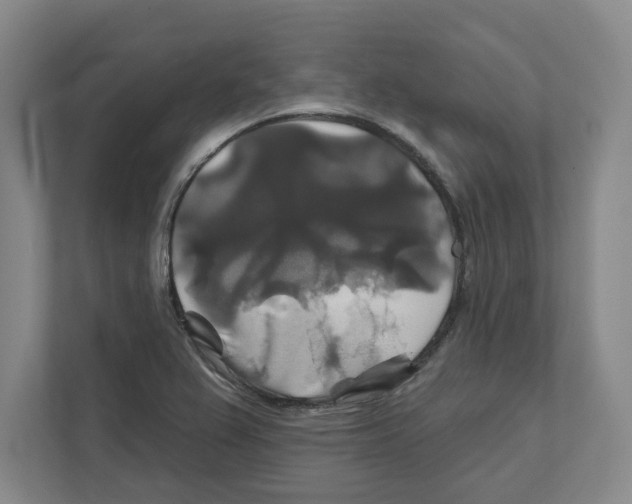 X0000111821367200908201122