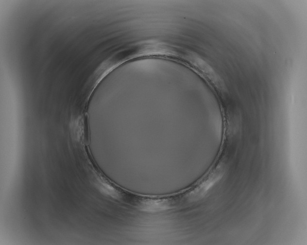 X0000111821369200908201122