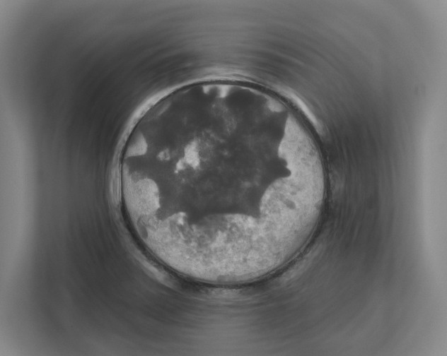 X0000111821371200908201122