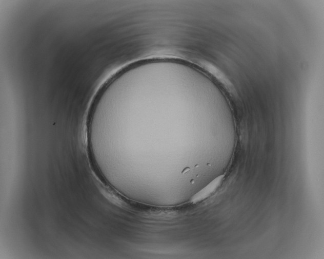 X0000111821372200908201122