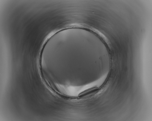 X0000111821373200908201122