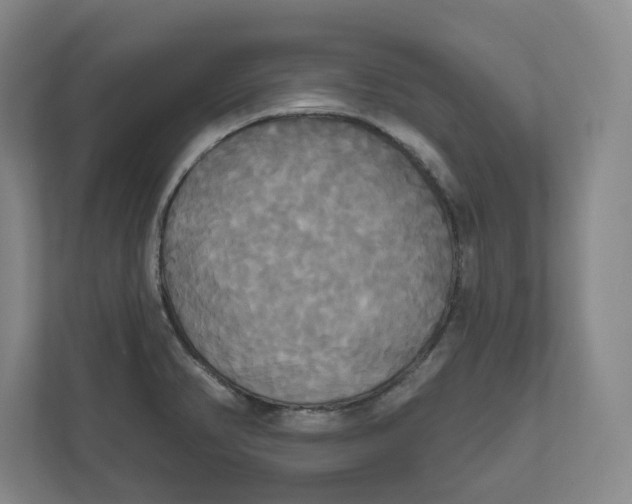 X0000111821374200908201122