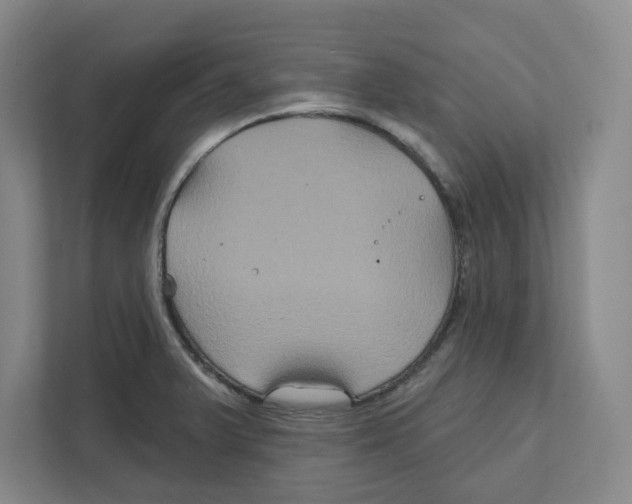 X0000111821375200908201122