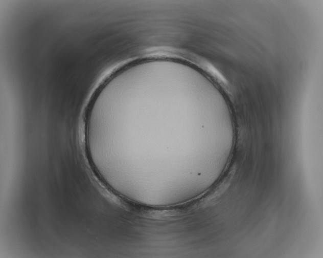 X0000111821376200908201122