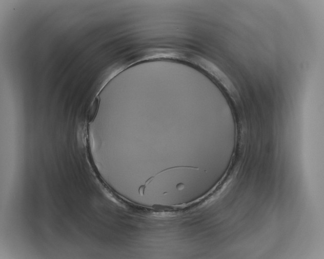 X0000111821377200908201122