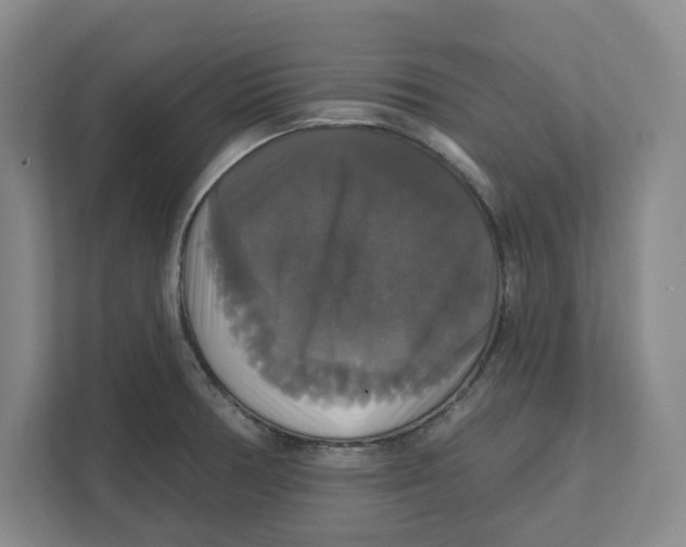 X0000111821378200908201122