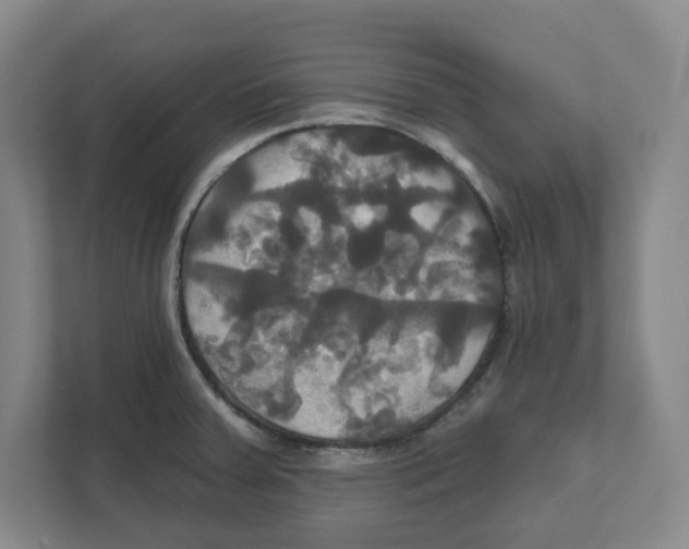 X0000111821379200908201122