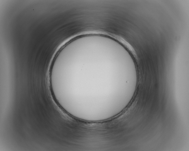 X0000111821380200908201122