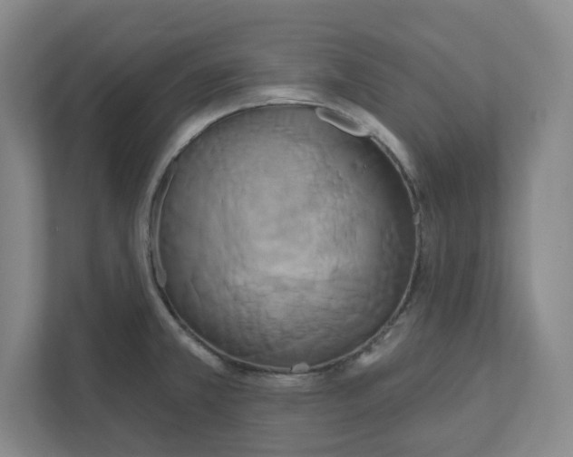 X0000111821381200908201122