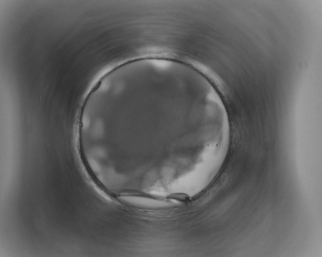 X0000111821383200908201122