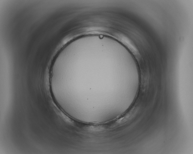 X0000111821384200908201122