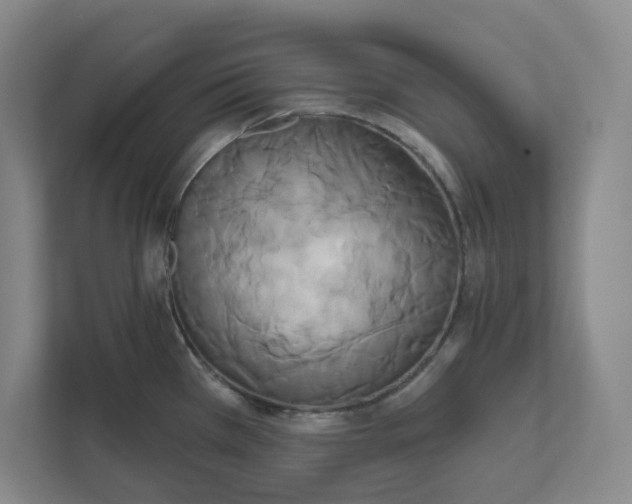 X0000111821385200908201122