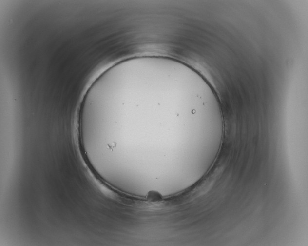 X0000111821387200908201122