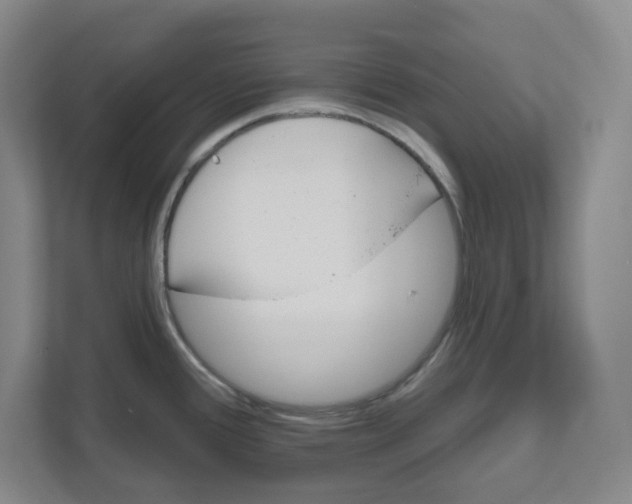 X0000111821388200908201122