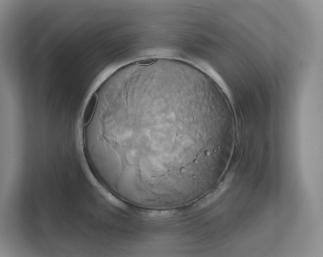 X0000111821389200908201122