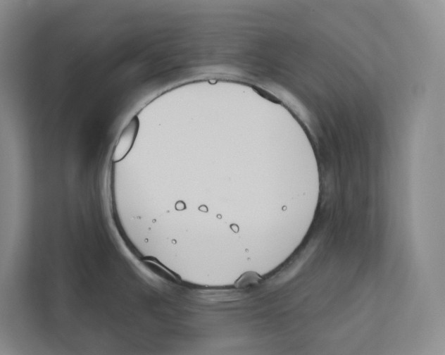 X0000111821391200908201122