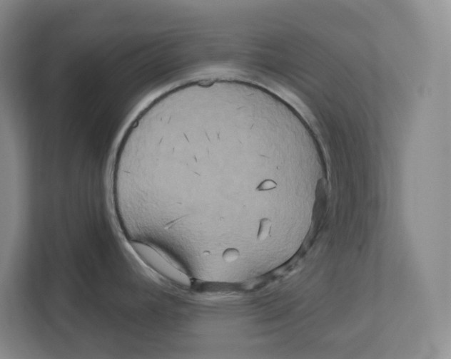 X0000111821392200908201122