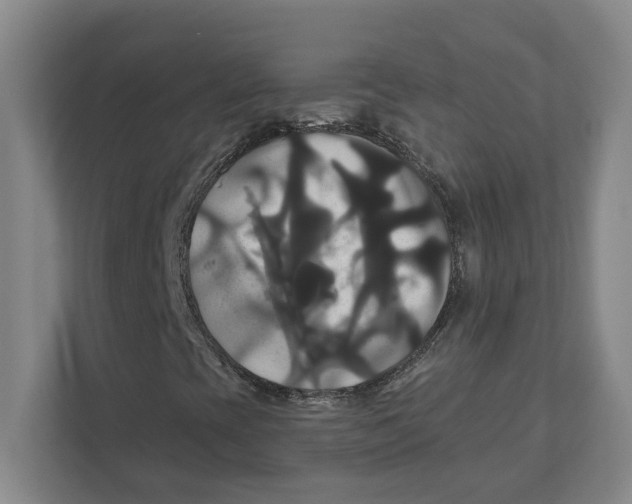 X0000111821393200908201121