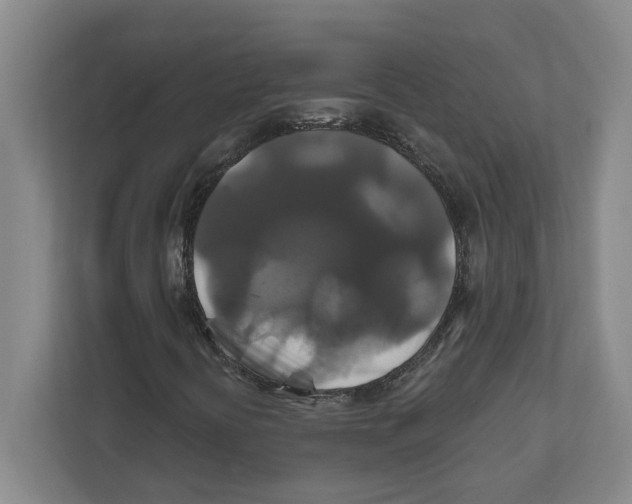 X0000111821394200908201121