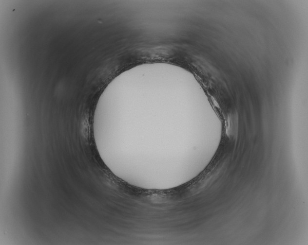 X0000111821395200908201121