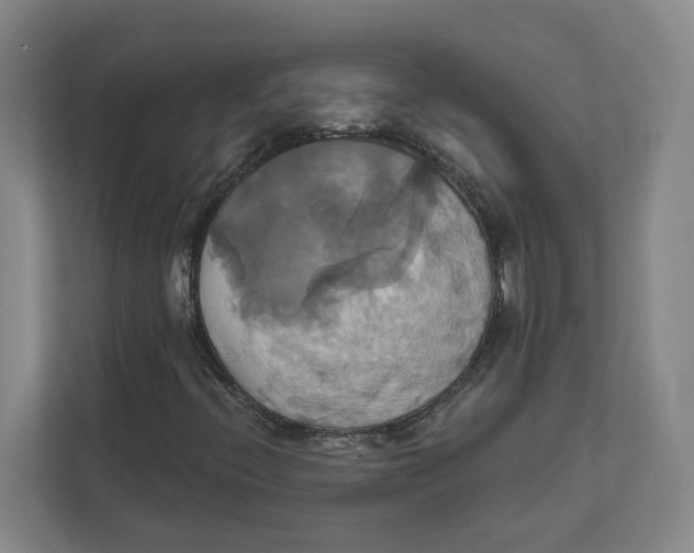 X0000111821396200908201121