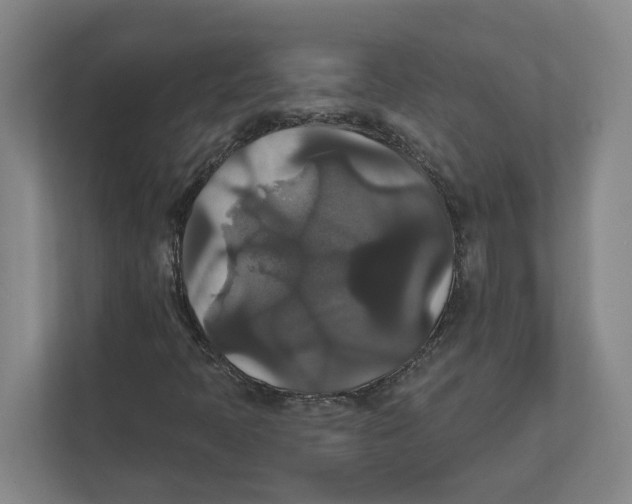 X0000111821397200908201121