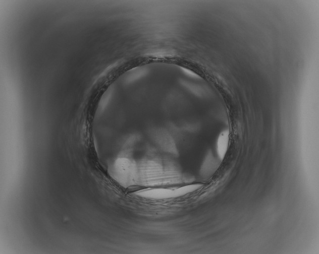 X0000111821398200908201121