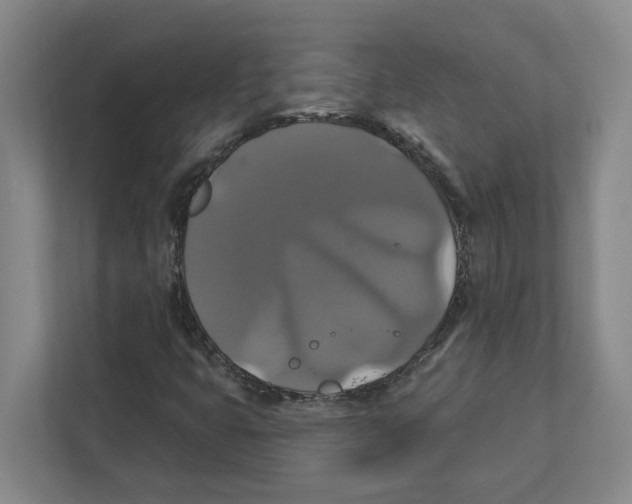 X0000111821399200908201121