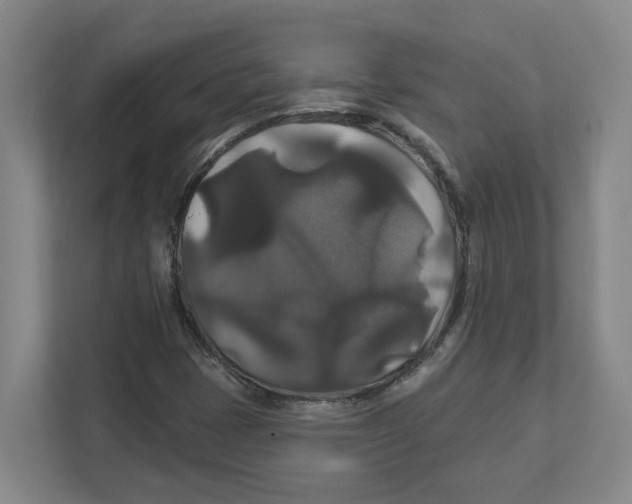 X0000111821401200908201121