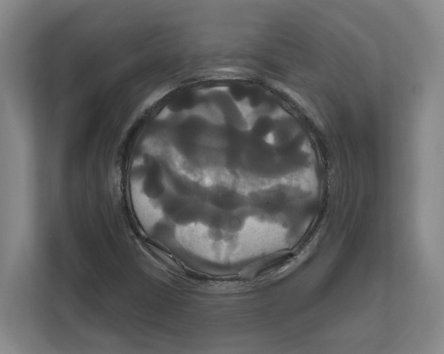 X0000111821402200908201121