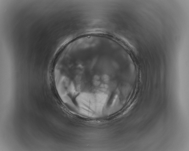 X0000111821405200908201121