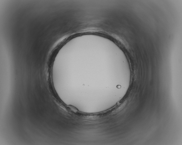 X0000111821406200908201121