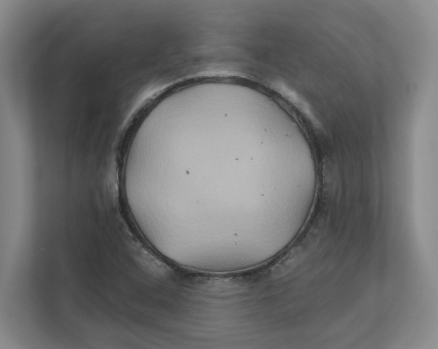 X0000111821408200908201121