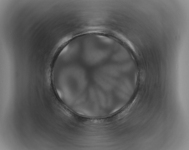 X0000111821411200908201121