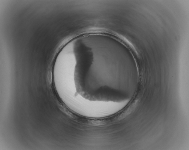 X0000111821413200908201121